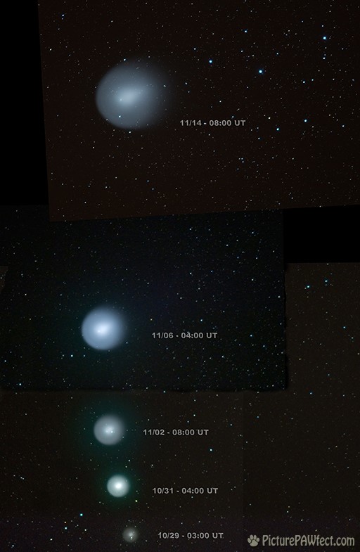 Comet Holmes over 17 days (Sky & Space Gallery)